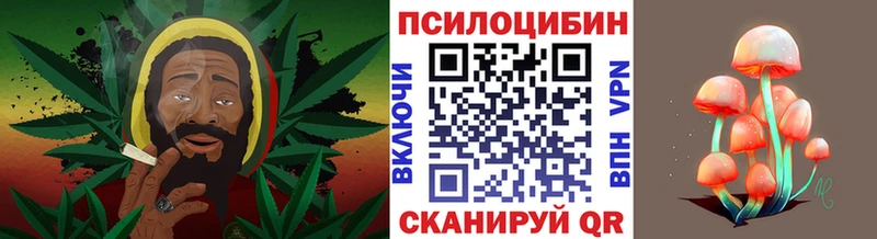где продают наркотики  Балашов  Галлюциногенные грибы мицелий 
