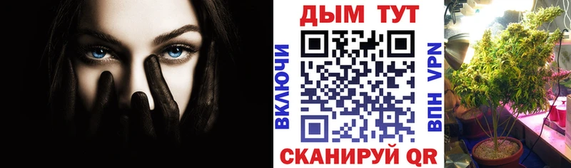 Каннабис Amnesia  сколько стоит  Балашов 
